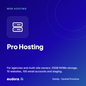 Pro Hosting