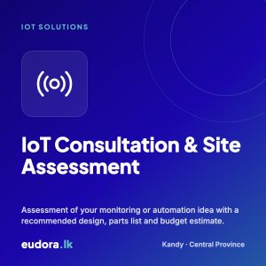 IoT Consultation & Site Assessment
