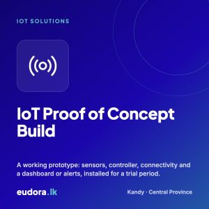 IoT Proof of Concept Build