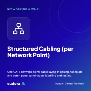 Structured Cabling (per Network Point)