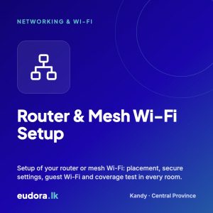 Router & Mesh Wi-Fi Setup