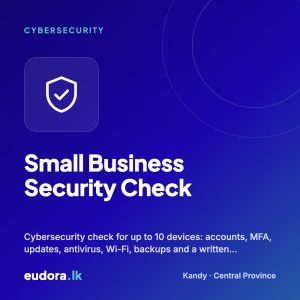 Small Business Security Check