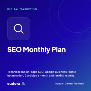 SEO Monthly Plan