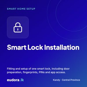 Smart Lock Installation